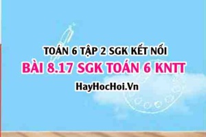 Bài 8.17 SGK Toán 6 tập 2 Kết nối tri thức